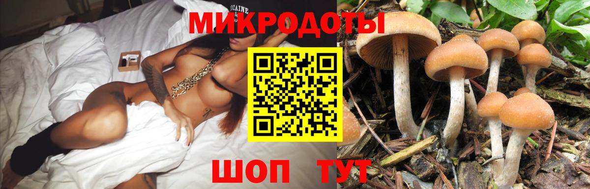 Жигулёвск  наркошоп  Вход с VPN  Псилоцибиновые грибы ЛСД  Галлюциногенные грибы Psilocybe 